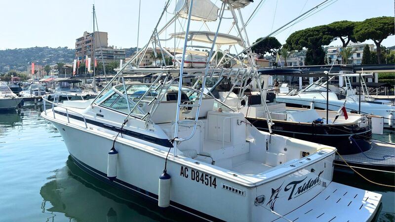 BERTRAM 36 MOPPIE